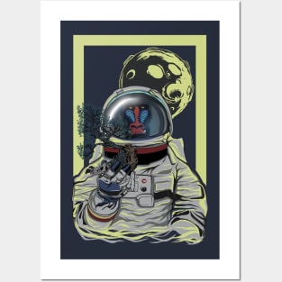 ape astronauts Posters and Art